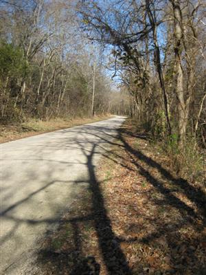 Wire Road at start of Cross Timber Hollow Looking North