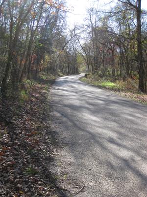 Wire Road at start of Cross Timber Hollow Looking South