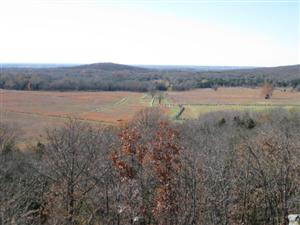 Looking Toward Round Mountain From East Overlook