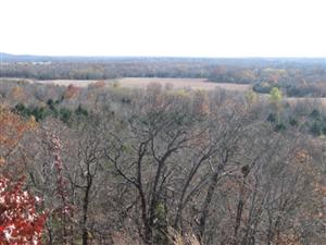 Looking Toward Ruddick's Field From East Overlook