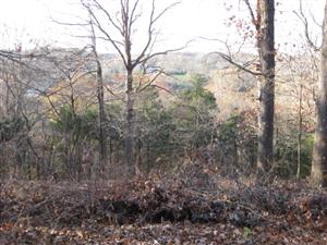 Looking South From Top of Federal Entrenchments at Sugar Creek