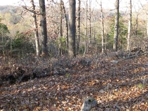 Looking South From Top of Federal Entrenchments at Sugar Creek