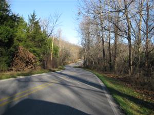 Looking East Towards Site of First Federal Roadblock on Bentonville Detour