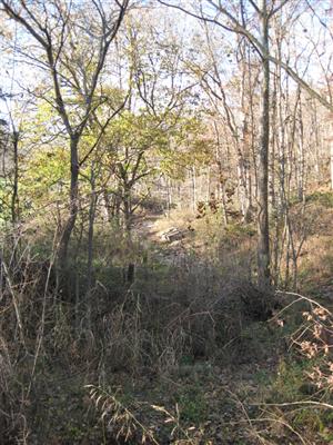 Steep Ravine Near Site of First Federal Roadblock on Bentonville Detour