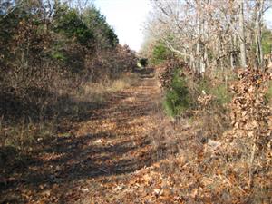 Looking West Down Huntsville Road Near Hiking Trail Towards Clemens Field