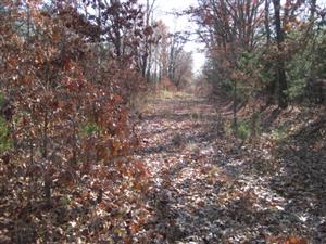 Looking East Down Huntsville Road Near Hiking Trail