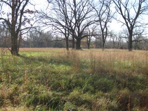 Clearing at the Site of Leetown