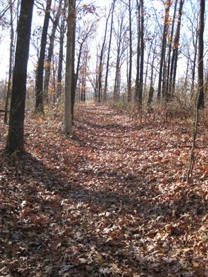 Looking North up Leetown Road from Site of Leetown