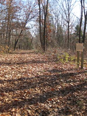 Looking East Along Wire Road Near Site of Leetown