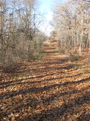 Looking West Along Wire Road Near Site of Leetown