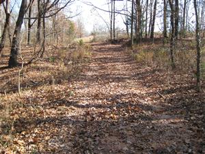 On Huntsville Road Looking Towards Clemens Field From Middle Ravine