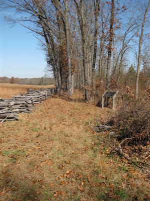 Morgan's Woods Interpretive Sign at Souteast Corner of Oberson's Field