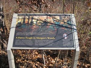 A Fierce Tangle in Morgan's Woods Interpretive Sign