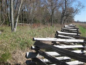 North Edge of Oberson's Field Near Location Where McCulloch Killed