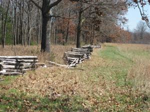 North Edge of Oberson's Field Near Location Where McIntosh Killed