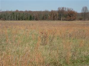 Leetown Battlefield Looking North From Southern Edge of Oberson's Field