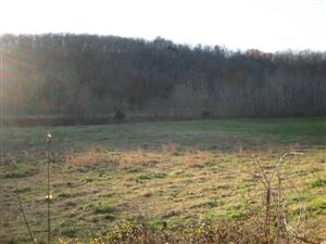 Looking West From Wire Road Near Pott's Hill