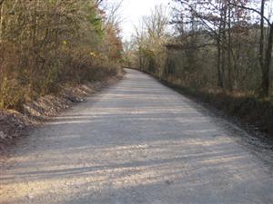 Looking South Along Wire Road Near Pott's Hill