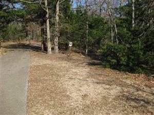 Path Leading to Rocky Outcrop on Elkhorn Mountain