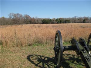 Lookin North From Site of Federal Battery at Ruddick's Field
