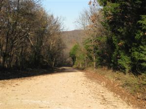 Looking East Towards Site of Second Federal Roadblock on Bentonville Detour