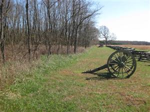 Skirt of Timber at Pea Ridge Battlefield