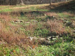 Remains of Vats at the Tanyard