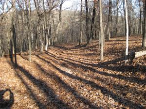 Looking North Along Wire Road Descending Into Tanyar Ravine