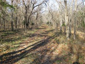 Looking North Along Wire Road North of Elkhorn Tavern