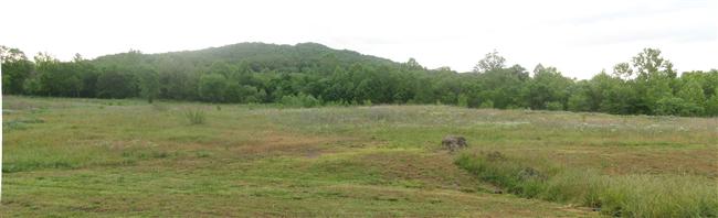 Panoramic view looking east towards Pilot Knob Mountain