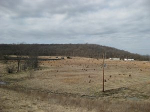 Price's Retreat Tour Stop 2 Looking South at West Mound