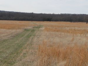 Price's Retreat Tour Stop 3.2 Looking South Towards Confederate Battery