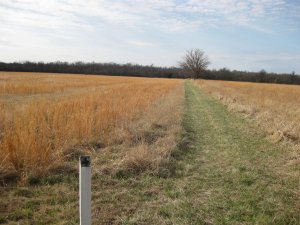 Price's Retreat Tour Stop 3.4 Looking South
