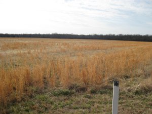 Price's Retreat Tour Stop 3.4 Looking Southeast (left)