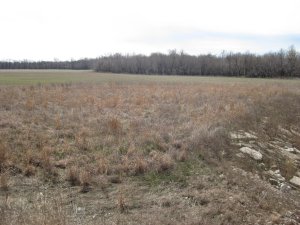 Price's Retreat Tour Stop 4 Looking Southeast Along Little Osage River