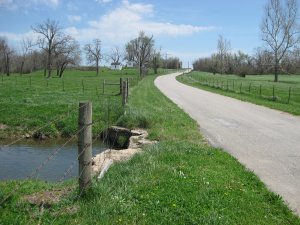 Dug Springs Crosses Wire Road Looking Northeast