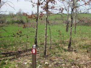 Bloody Hill Red Marker 9 - "With a loud shout for Texas"