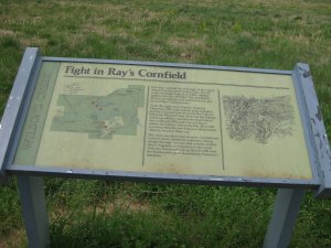 Fight in Ray's Cornfield Interpretive Sign