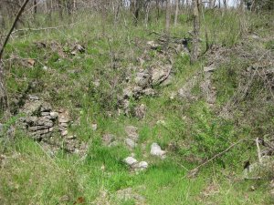 Gibson House Ruins