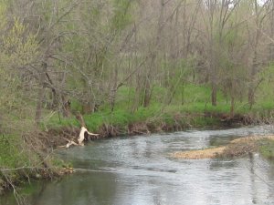 Remnants of Gibson Mill Headrace (North)