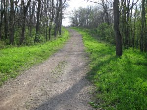 View looking up Wire Road in direction of Sigel's final position and defeat