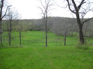 View from McCulloch's headquarters looking west towards Bloody Hill