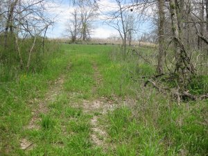 Looking towards Ray Cornfield from near Plummer's Crossing over Wilson's Creek