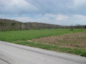 View looking southeast from Sharp's Cornfield towards hill on which Backof's Battery was placed