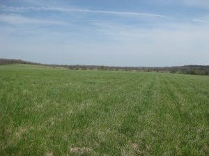 View looking north from Sharp's Cornfield near Sigel's second position