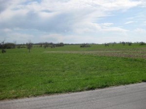 View looking south from Sharp's Cornfield up hil towards Sigel's second position