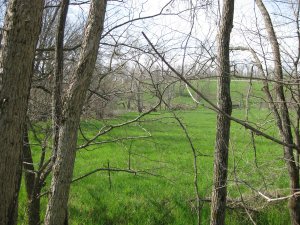 View looking south near site where Sigel crossed Terrell Creek