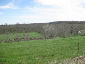 View looking north near site where Sigel crossed Terrell Creek