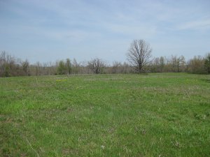 View from West Overlook looking north towards path of Federal withdrawal