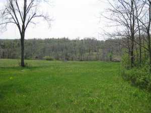 View from West Overlook looking south towards Bloody Hill